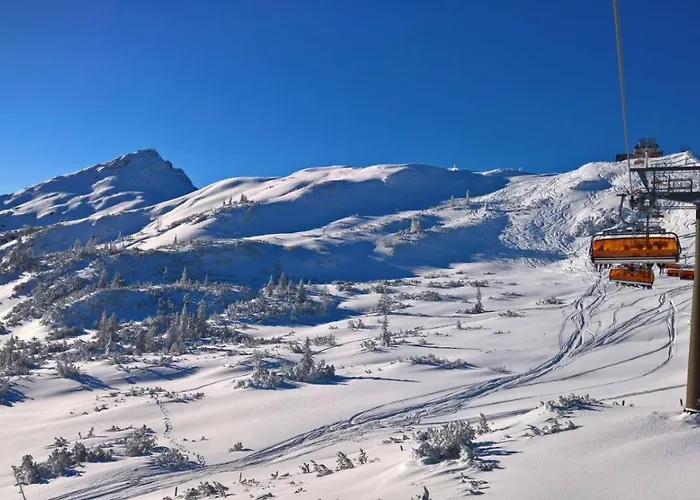 Hostel Jugendhotel Aicher